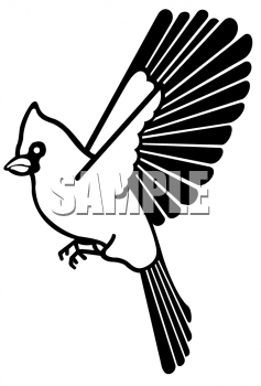 Insect Clipart
