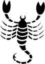 Arachnid Clipart