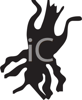 Insect Clipart
