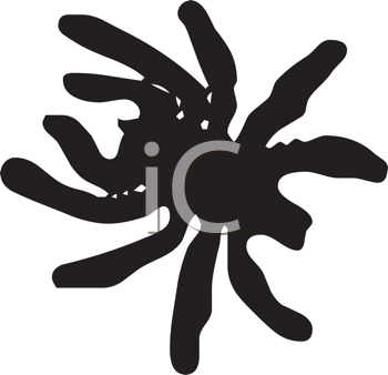 Insect Clipart