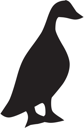 Bird Clipart