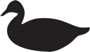 Bird Clipart