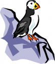 Bird Clipart