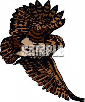 Bird Clipart