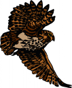 Bird Clipart