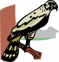 Bird Clipart