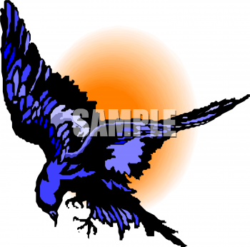 Bird Clipart