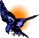 Bird Clipart