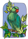 Bird Clipart