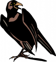 Bird Clipart