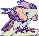 Bird Clipart