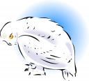 Bird Clipart