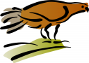 Bird Clipart