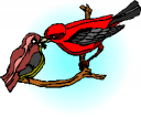 Bird Clipart