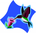 Bird Clipart