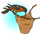 Bird Clipart