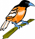 Bird Clipart