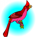 Bird Clipart