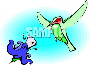 Bird Clipart