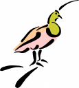 Bird Clipart