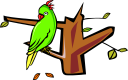 Bird Clipart