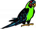 Bird Clipart