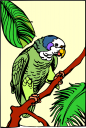 Bird Clipart