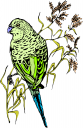 Bird Clipart