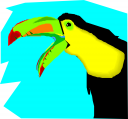 Bird Clipart