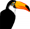 Bird Clipart