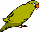 Bird Clipart