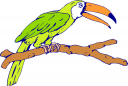 Bird Clipart