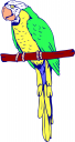 Bird Clipart