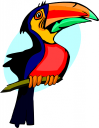 Bird Clipart