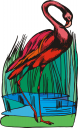 Bird Clipart