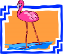 Bird Clipart