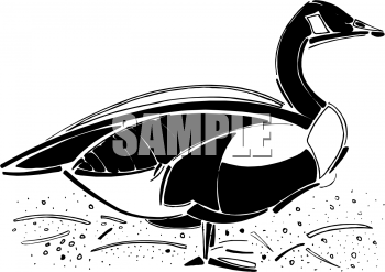 Farm Animal Clipart