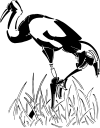 Bird Clipart