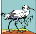 Bird Clipart