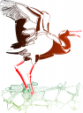 Bird Clipart