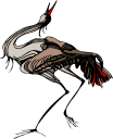 Bird Clipart