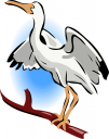 Bird Clipart