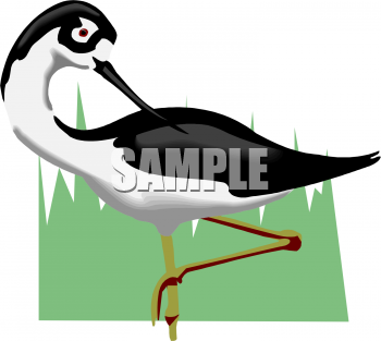 Bird Clipart