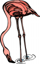 Bird Clipart