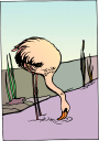 Bird Clipart