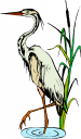 Bird Clipart