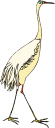 Bird Clipart