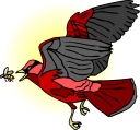 Bird Clipart