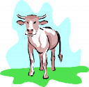 Farm Animal Clipart