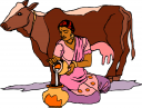 Farm Animal Clipart
